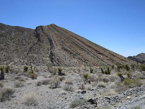 Mormon Well Road