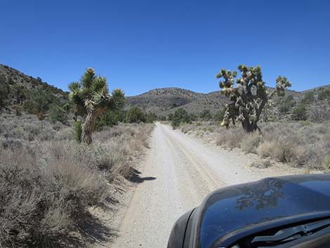 Mormon Well Road