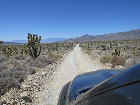 Mormon Well Road