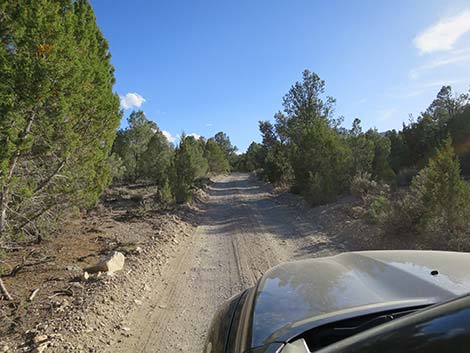 Mormon Well Road