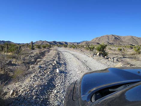 Mormon Well Road