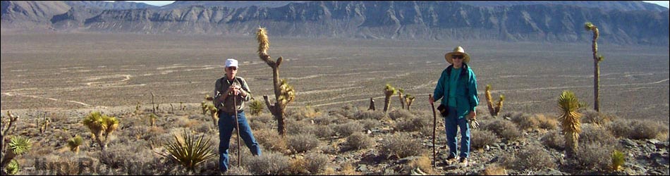 Yucca Peak Fossils