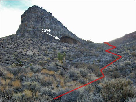 Yucca Peak Fossils