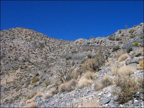 Yucca Peak