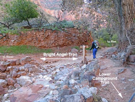 Bright Angel Trail