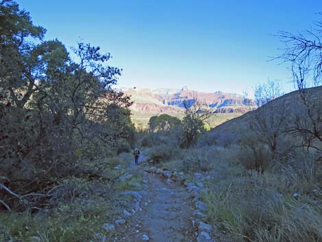 Bright Angel Trail