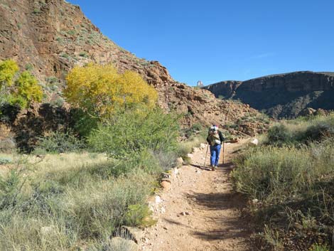 Bright Angel Trail