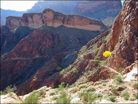 Bright Angel Trail