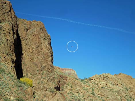 Bright Angel Trail