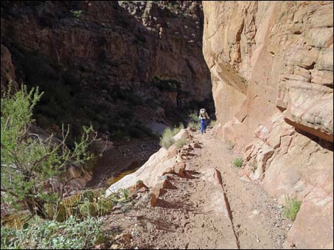 Bright Angel Trail