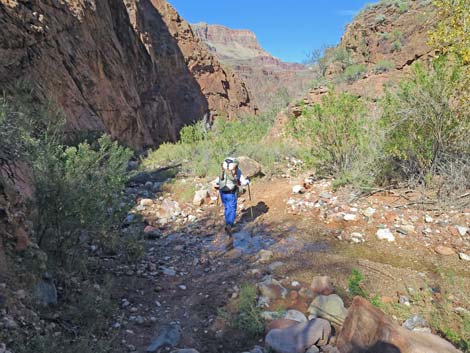 Bright Angel Trail