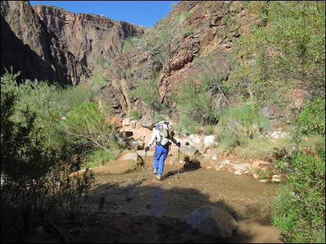 Bright Angel Trail