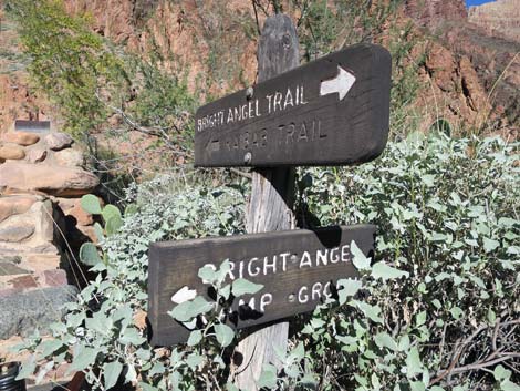 Bright Angel Trail