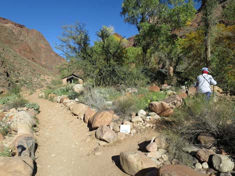 Bright Angel Trail