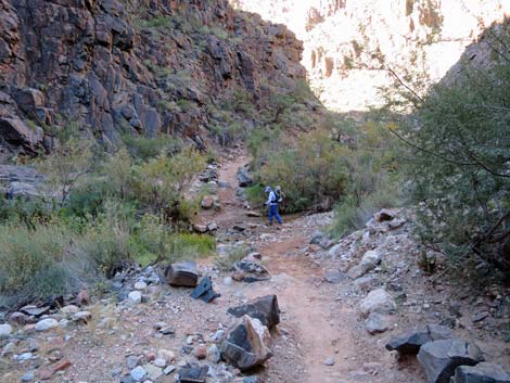 Bright Angel Trail