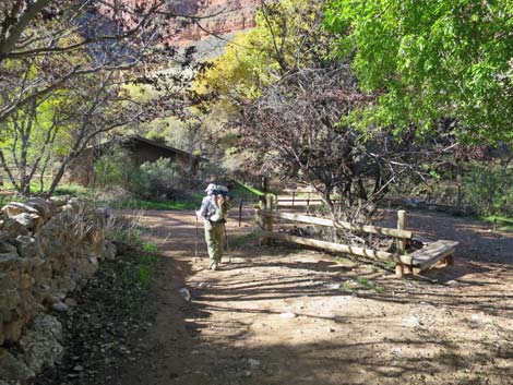 Bright Angel Trail