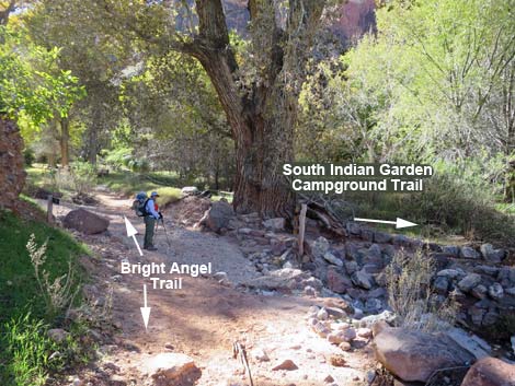 Bright Angel Trail