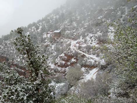 Bright Angel Trail