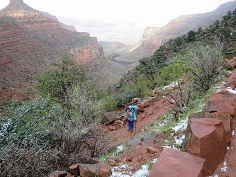 Bright Angel Trail