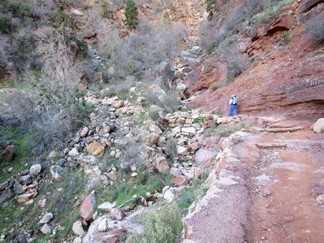 Bright Angel Trail