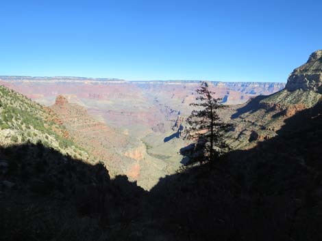 Bright Angel Trail