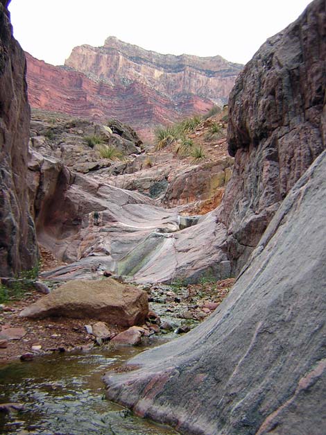 tonto west trail