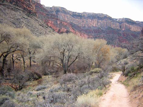 tonto west trail