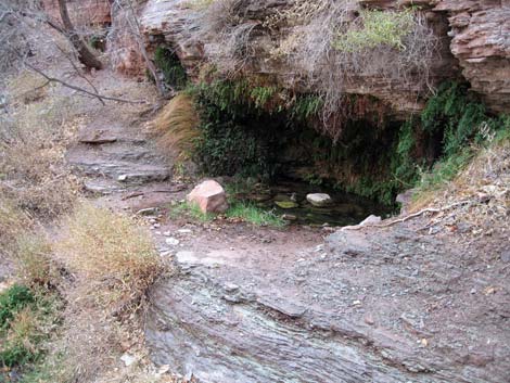 Page Spring Trail