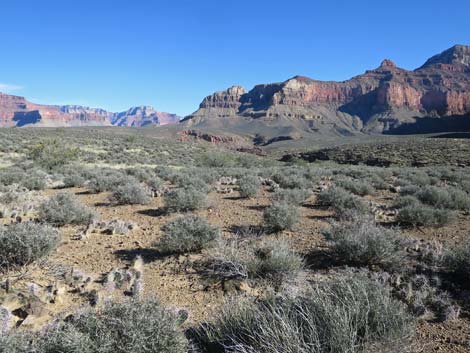 Plateau Point Trail