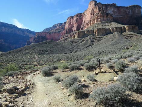 Plateau Point Trail