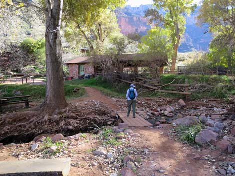 Plateau Point Trail