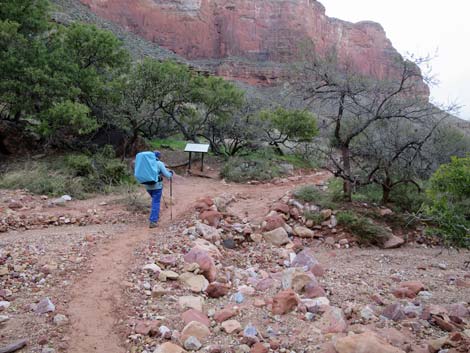 Indian Garden Campground