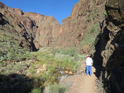 Bright Angel Trail