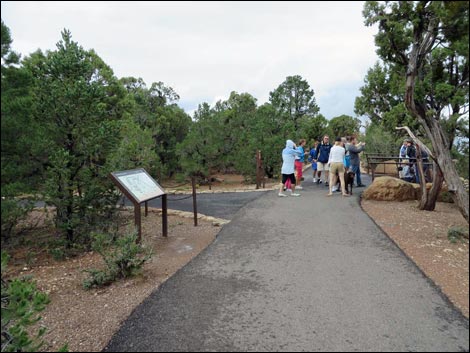 Rim Trail