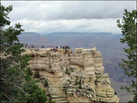 Rim Trail