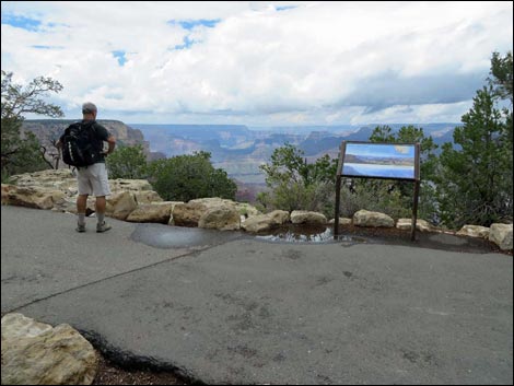 Rim Trail