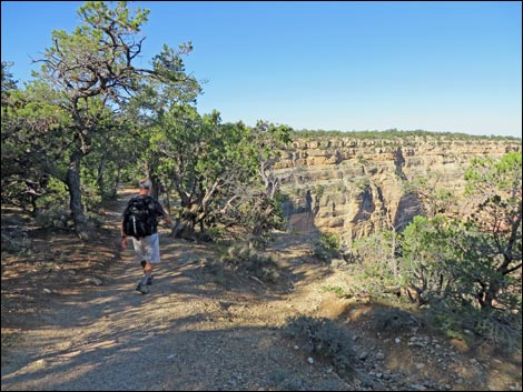 Rim Trail