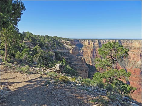 Rim Trail