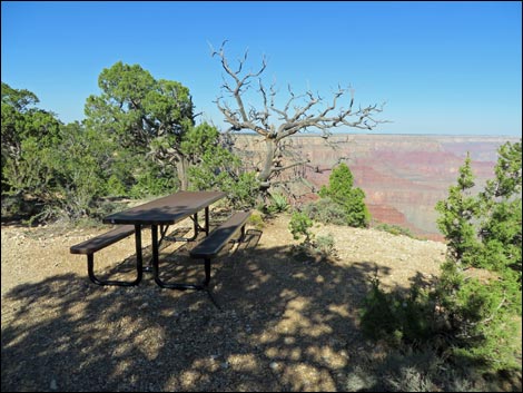 Rim Trail