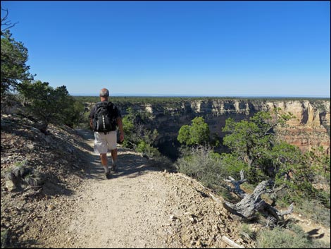 Rim Trail