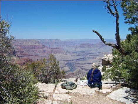 rim trail