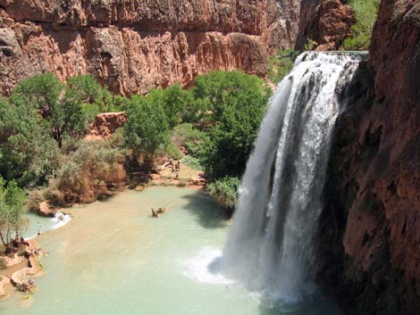 Havasu Canyon Trail