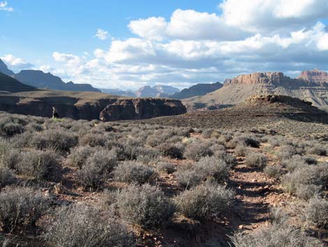 Tonto East Trail