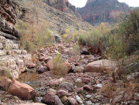 Tonto East Trail