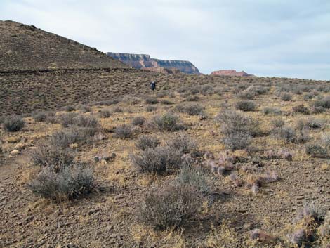 Tonto East Trail