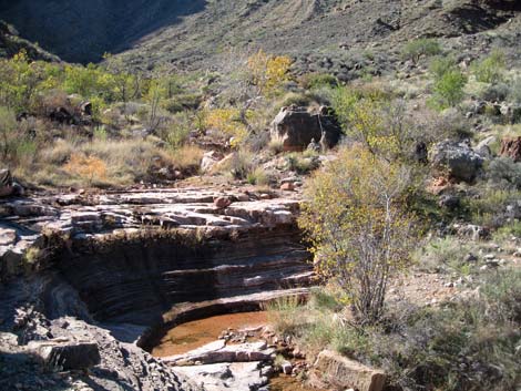 Tonto East Trail