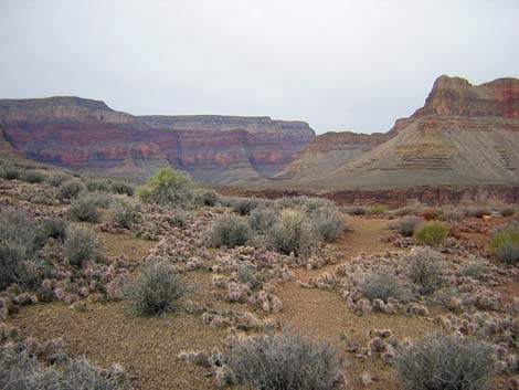 Tonto West Trail