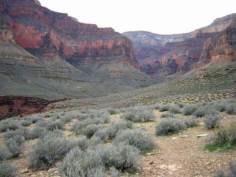 Tonto West Trail