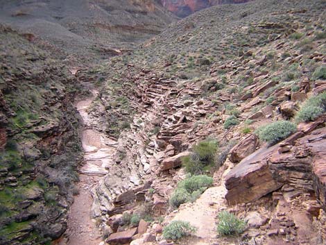 Tonto West Trail