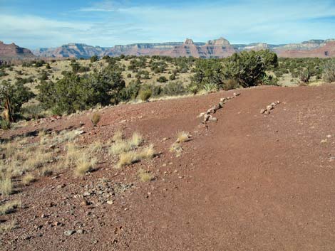 Cave-of-the-Domes Trail